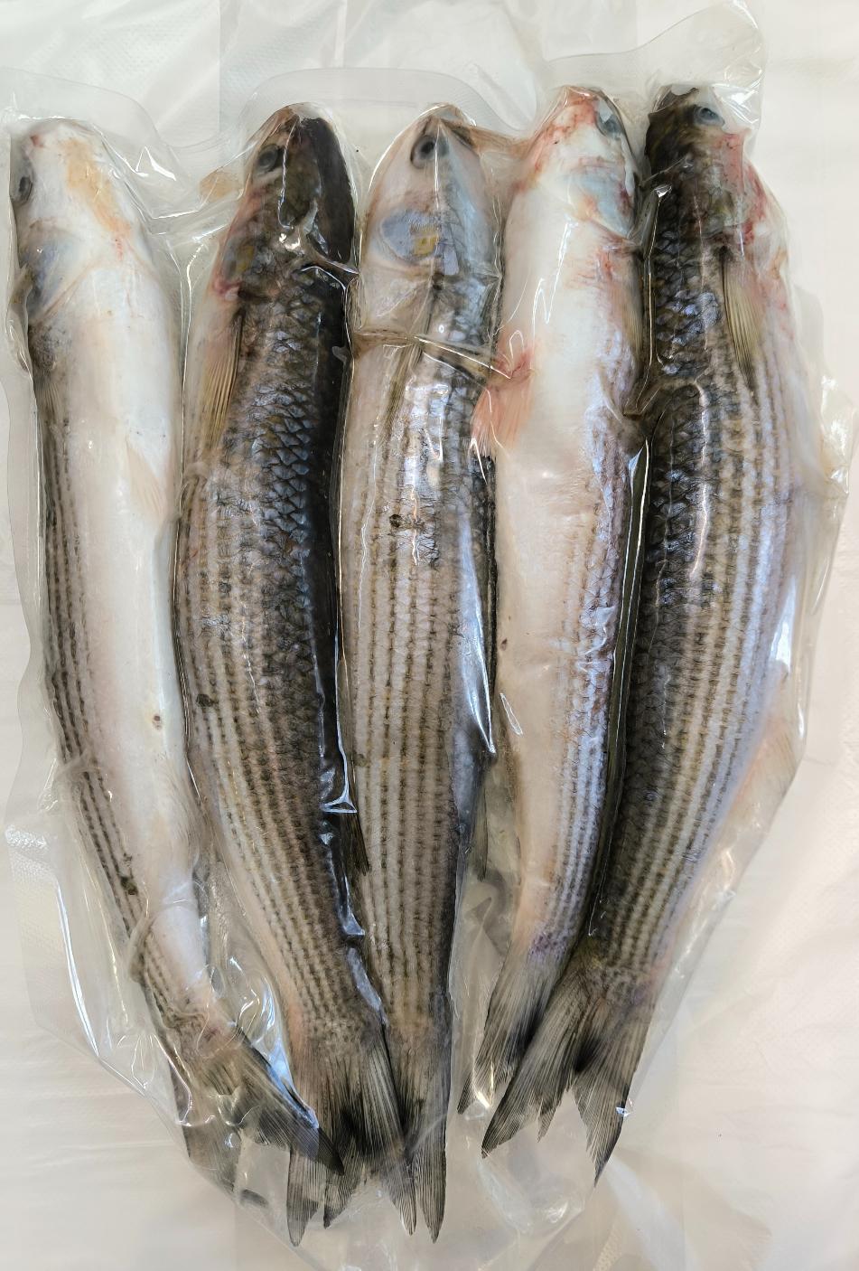 Кефаль крымская целая свежемороженая, вес