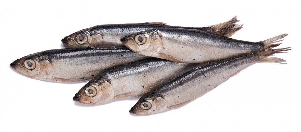 Тугунок, слабосоленый, 1 кг.